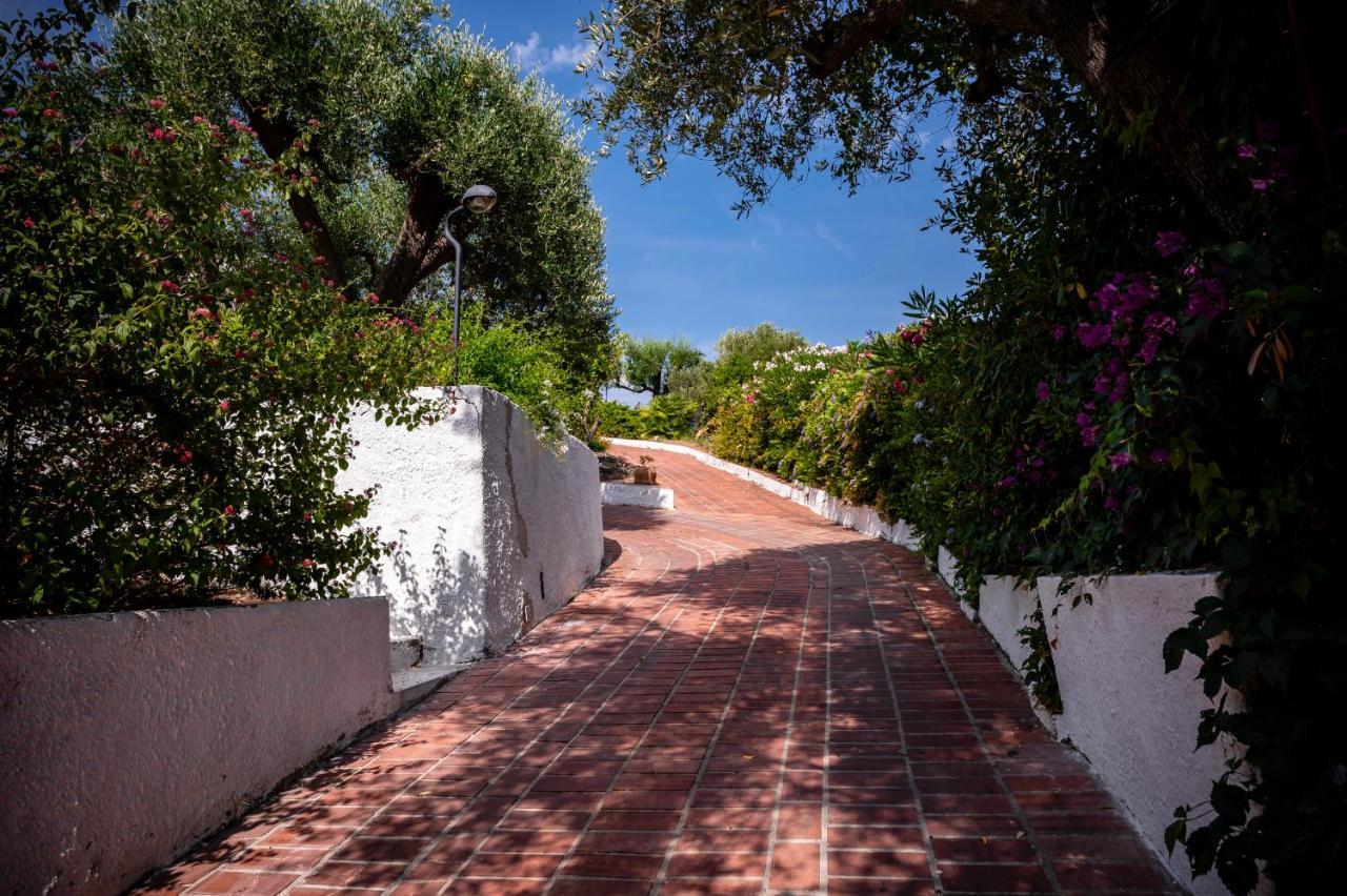 B&B Casabianca Palinuro Exterior photo