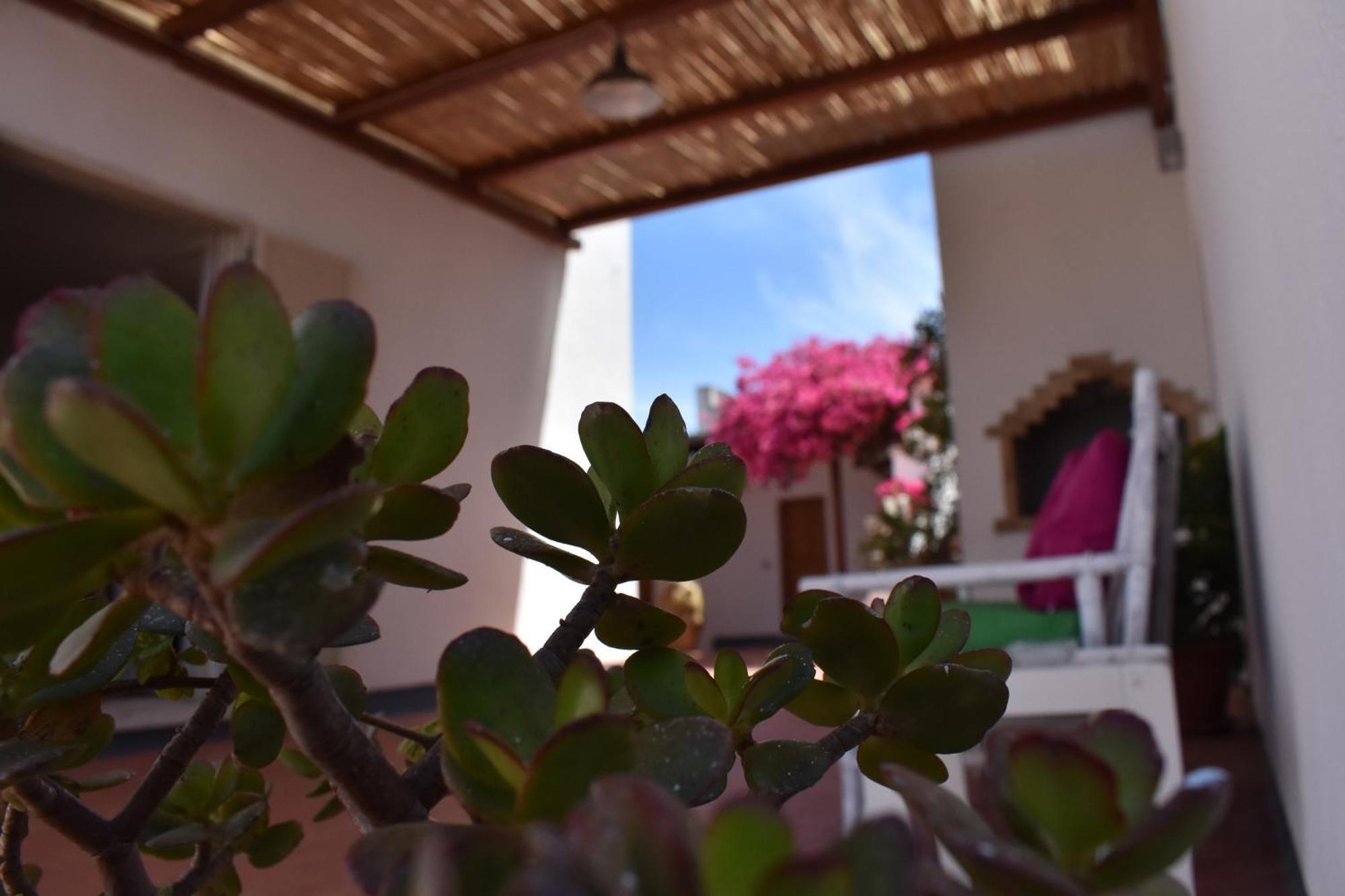 B&B Casabianca Palinuro Exterior photo