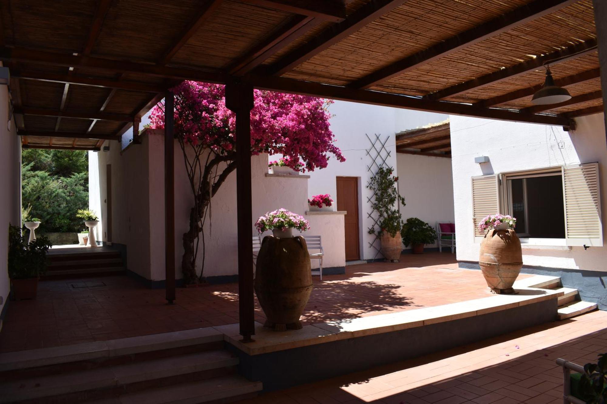 B&B Casabianca Palinuro Exterior photo