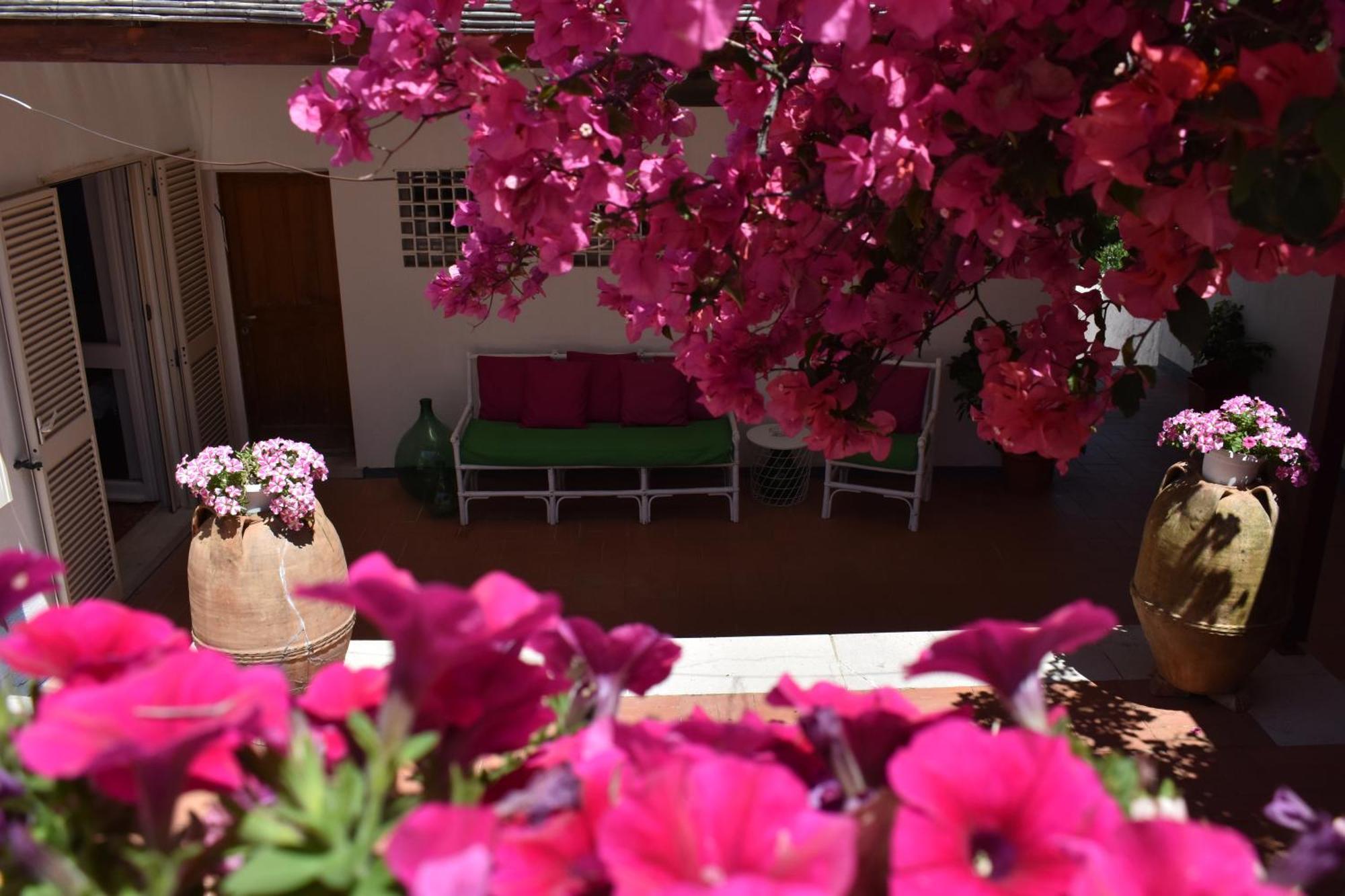 B&B Casabianca Palinuro Exterior photo